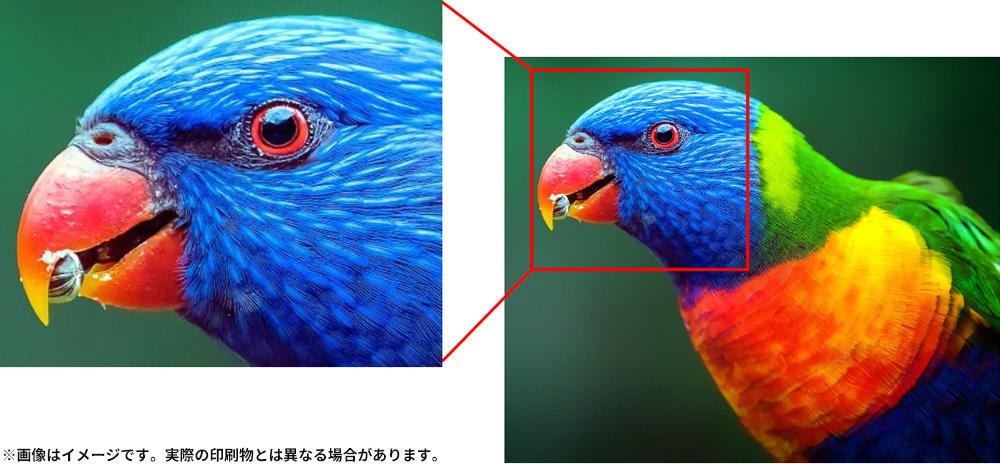 極めて正確なインク着弾精度による、高画質で鮮明な表現力