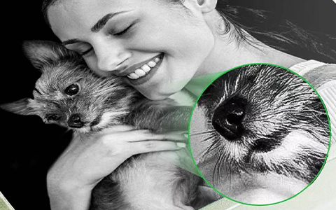 高精度のマーキング